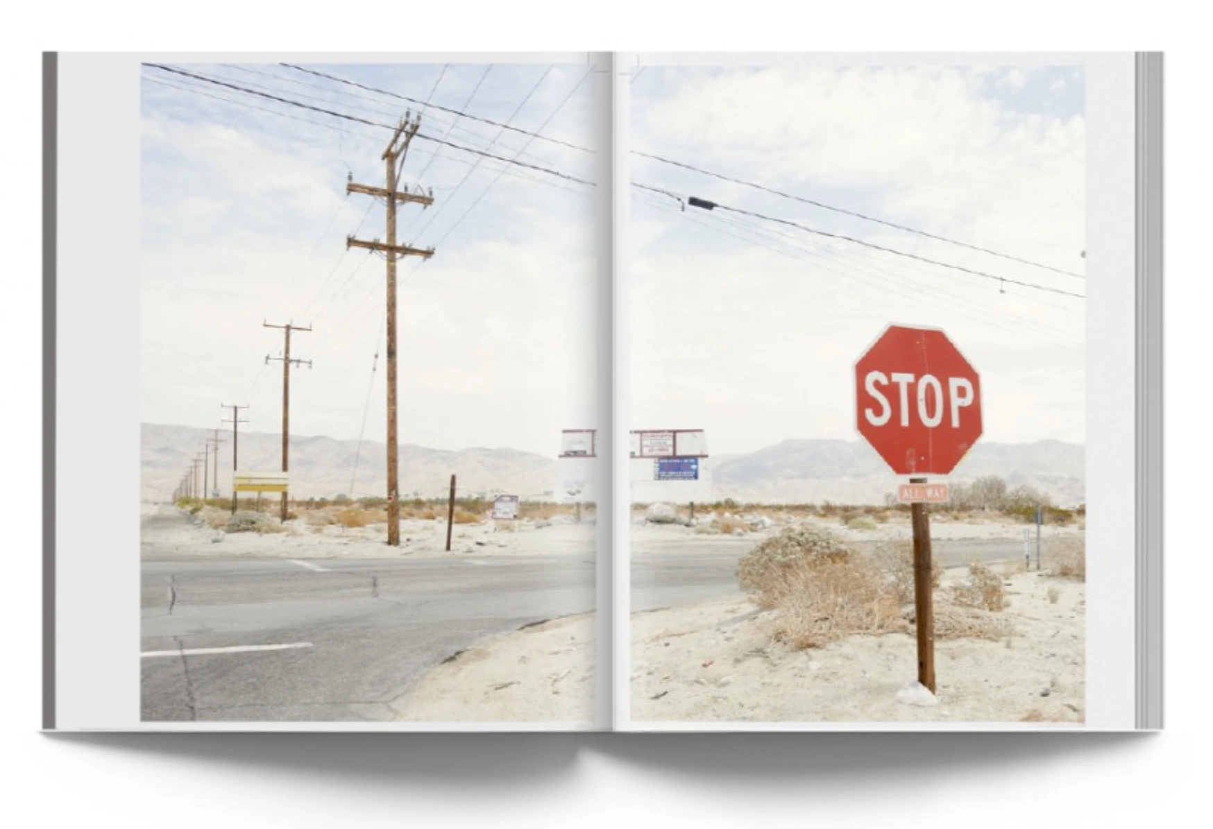 New American Topographics image 7