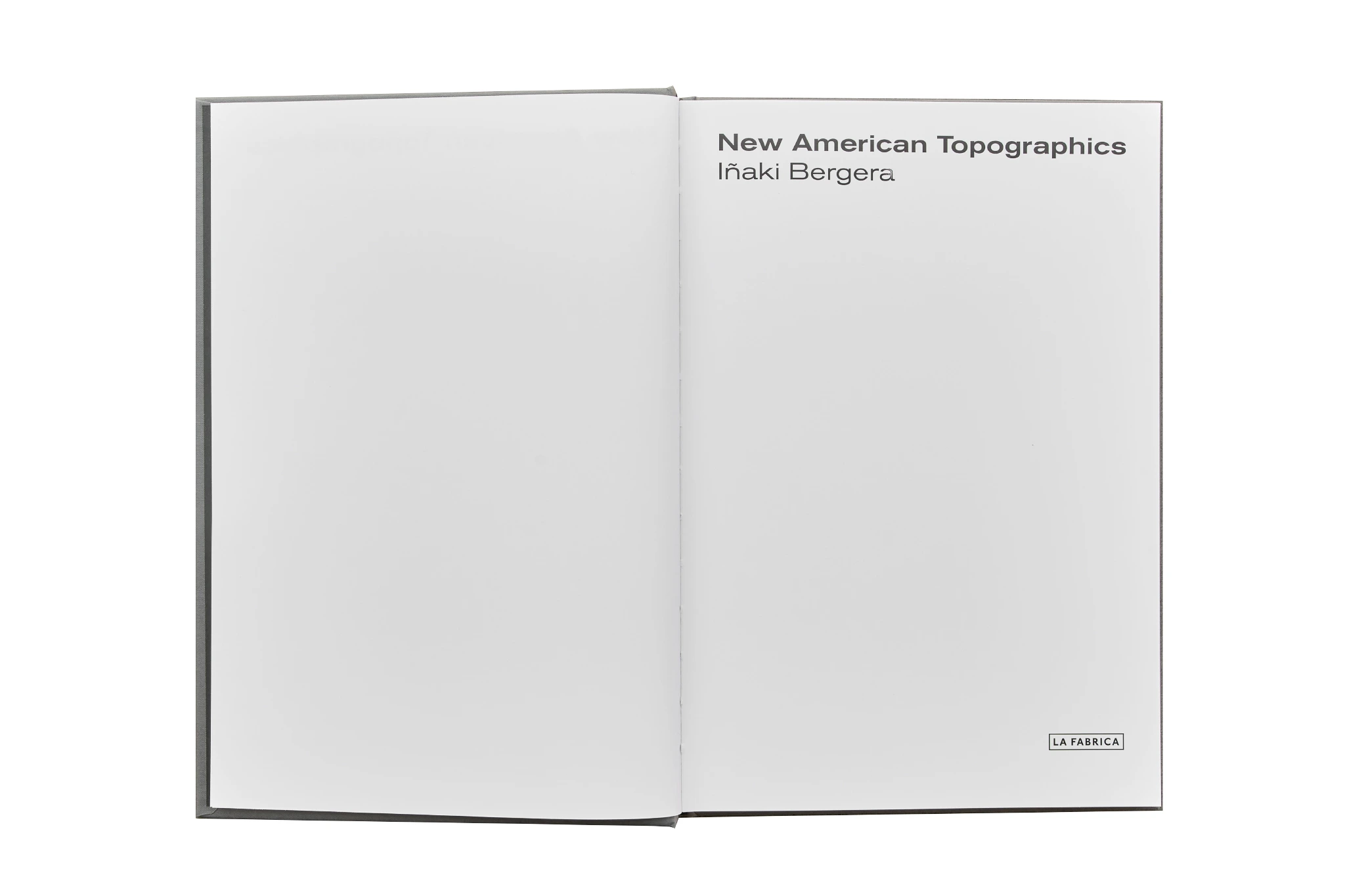 New American Topographics image 2