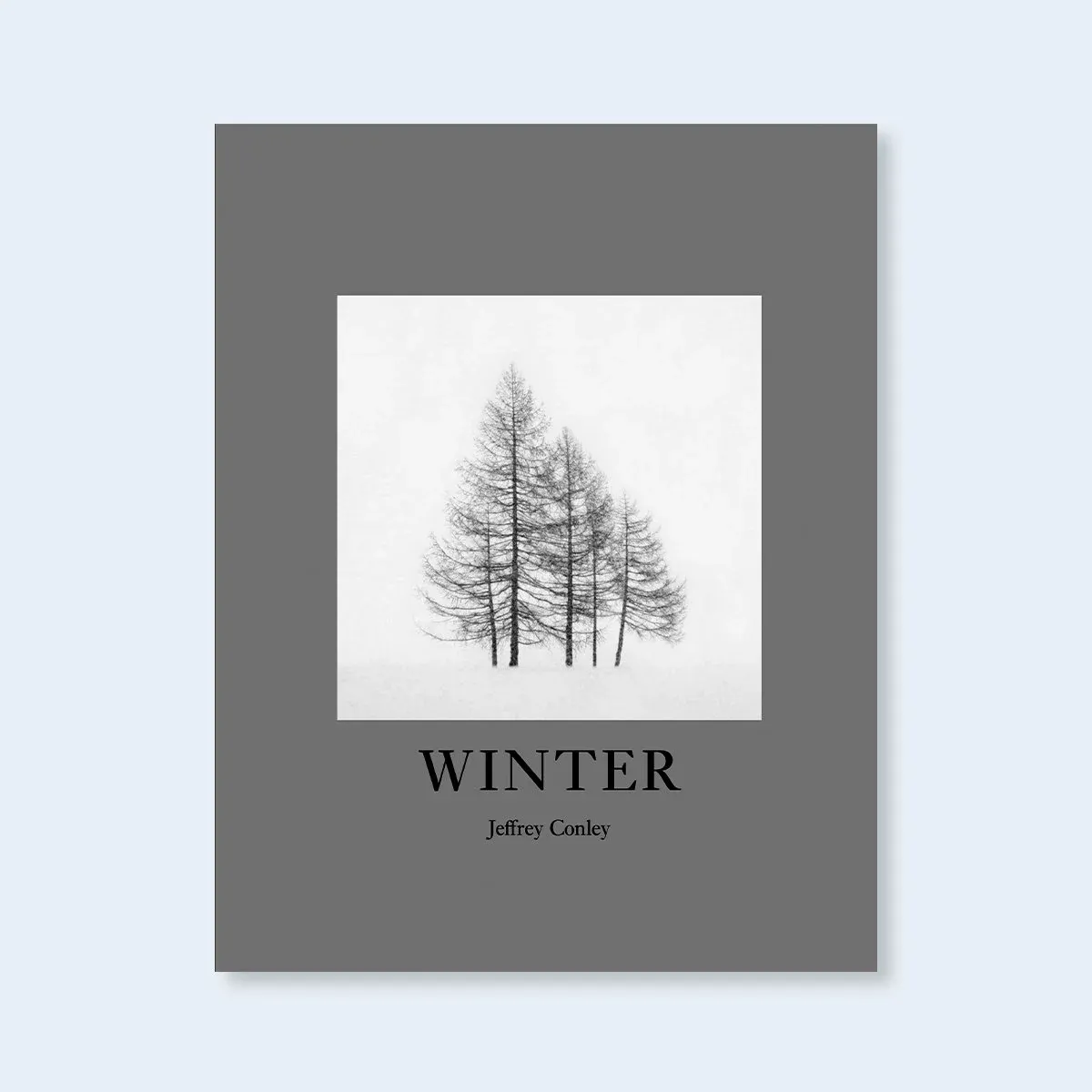 Winter image 1