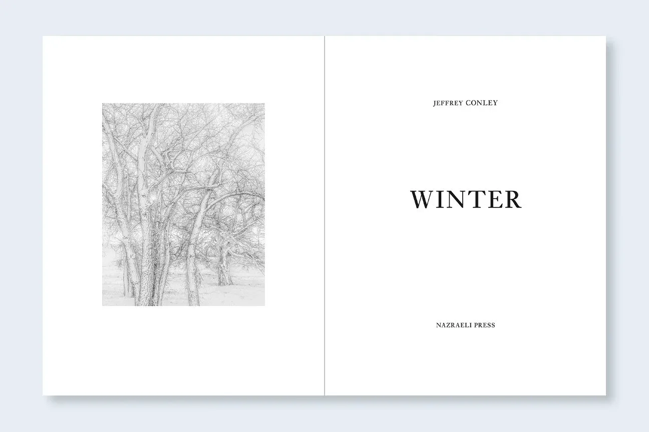 Winter image 2