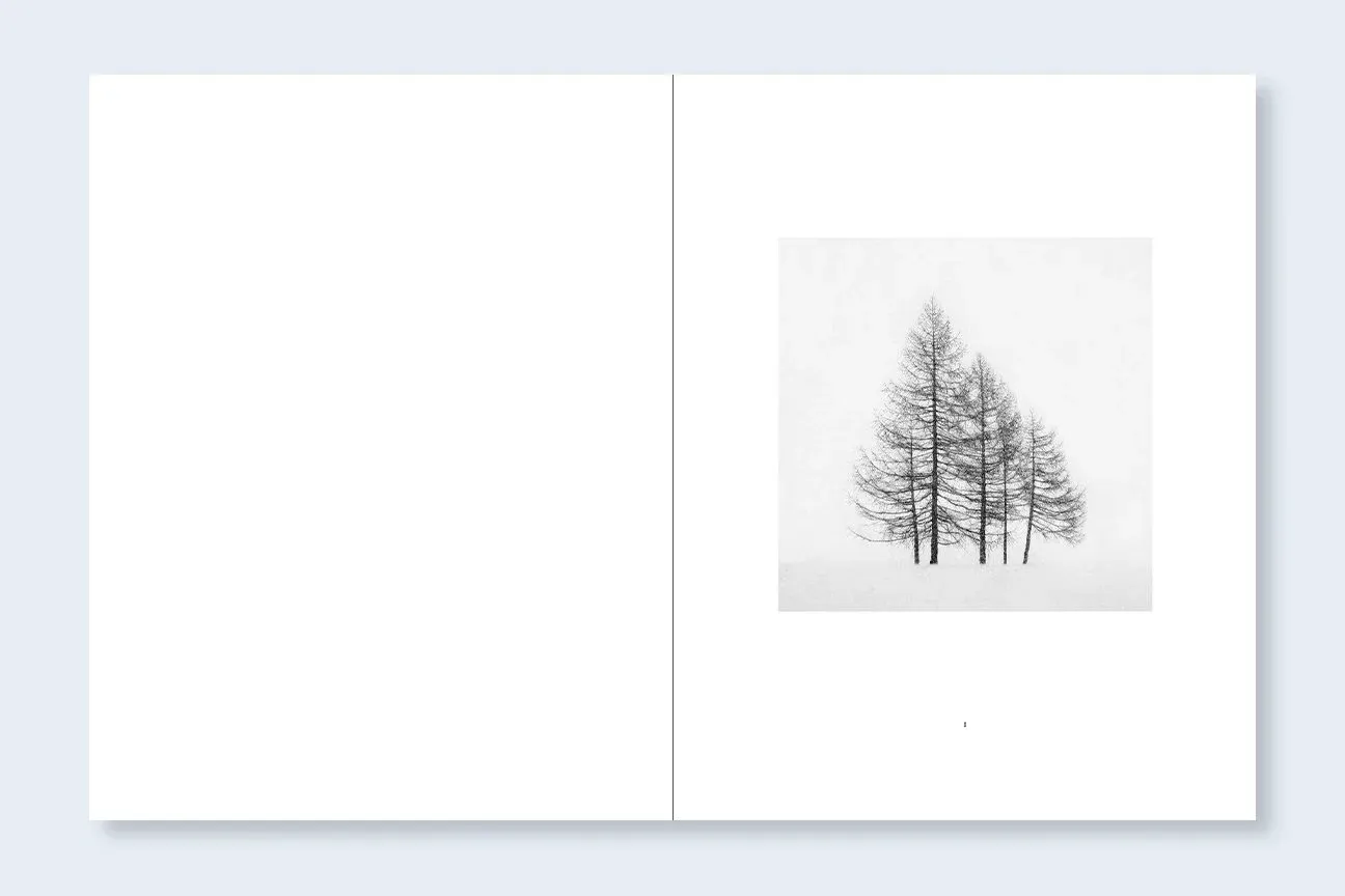 Winter image 4