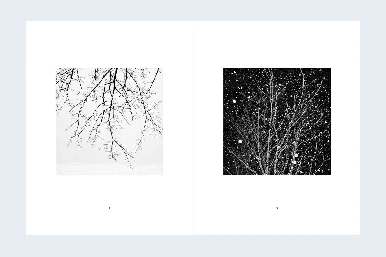 Winter image 5