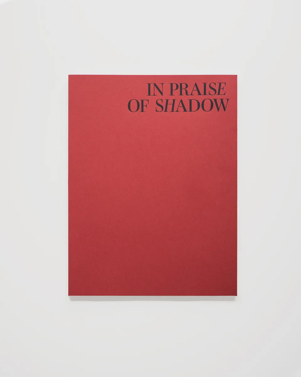 IN PRAISE OF SHADOW