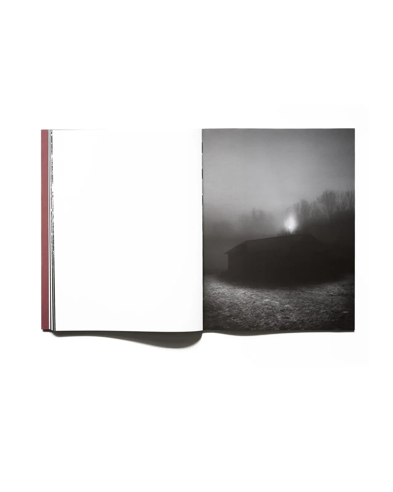 IN PRAISE OF SHADOW image 9