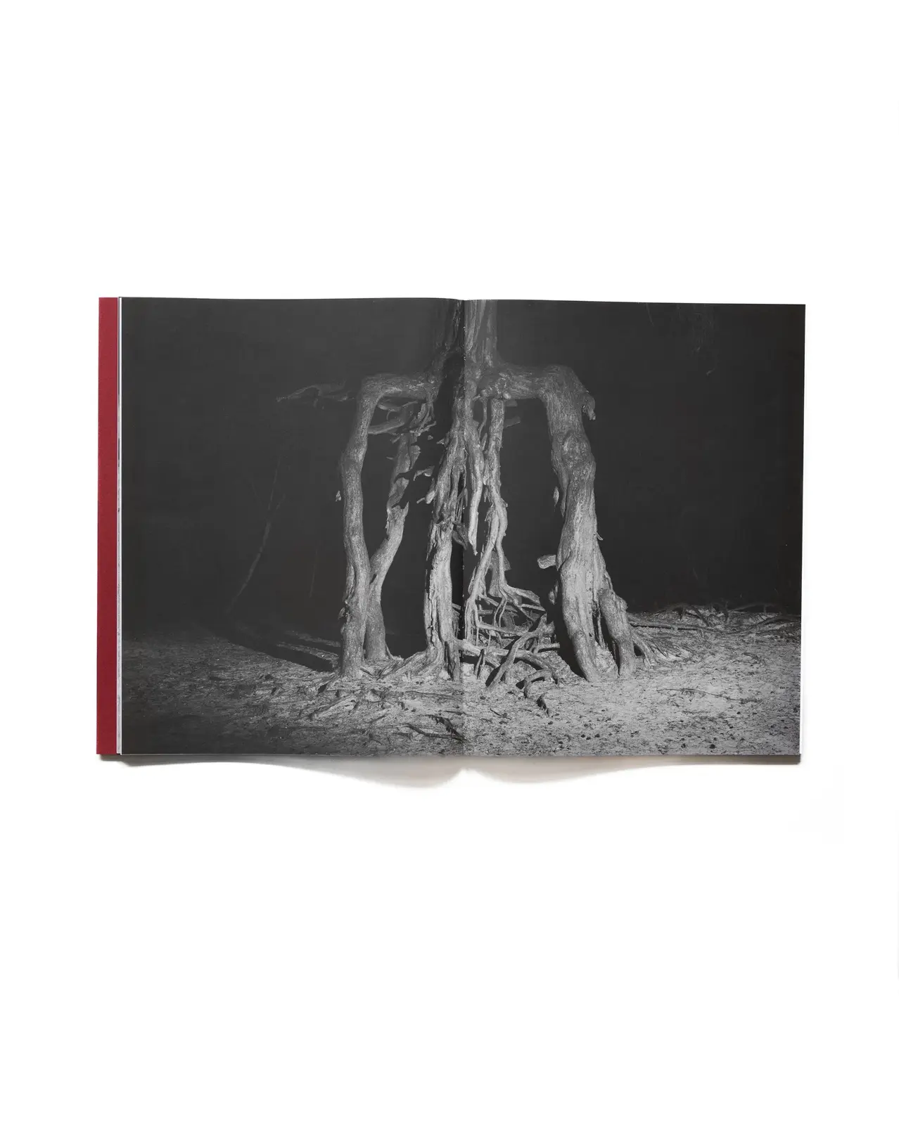 IN PRAISE OF SHADOW image 11