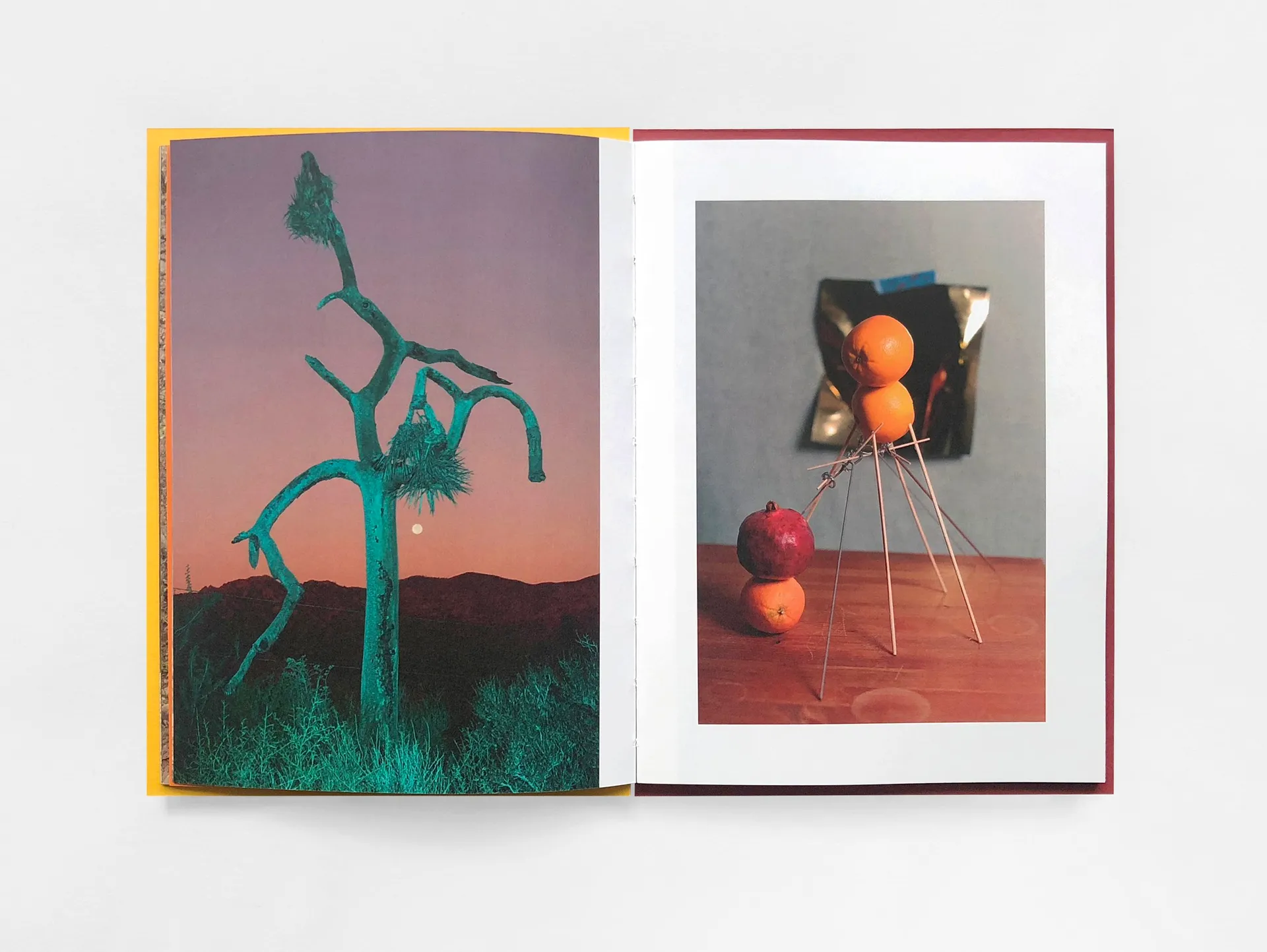 Red Orange image 3