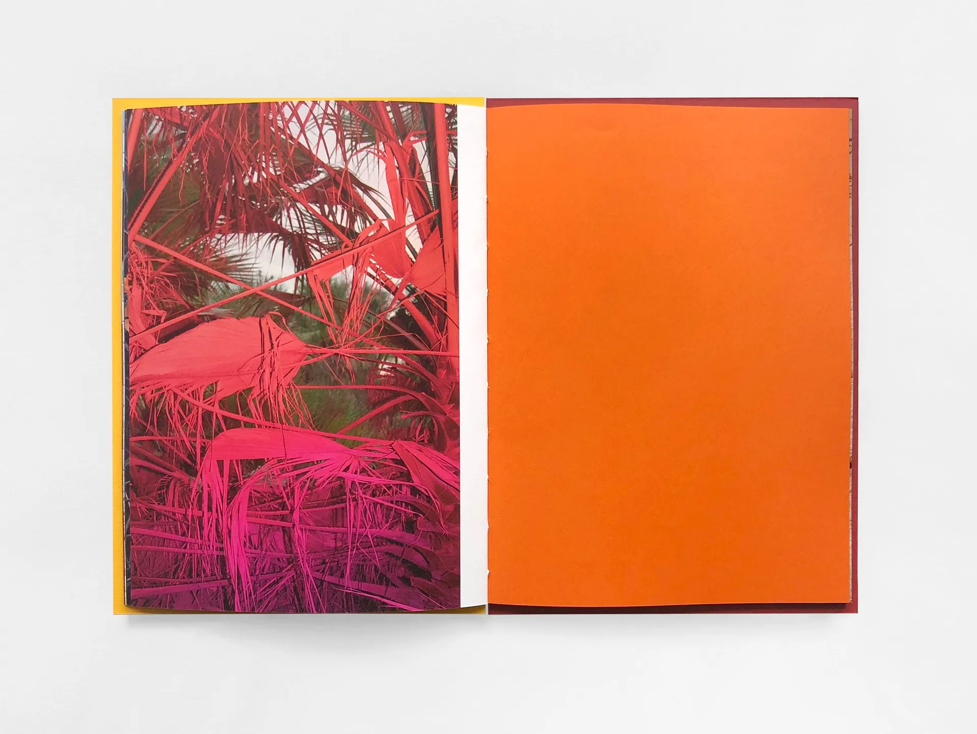 Red Orange image 6