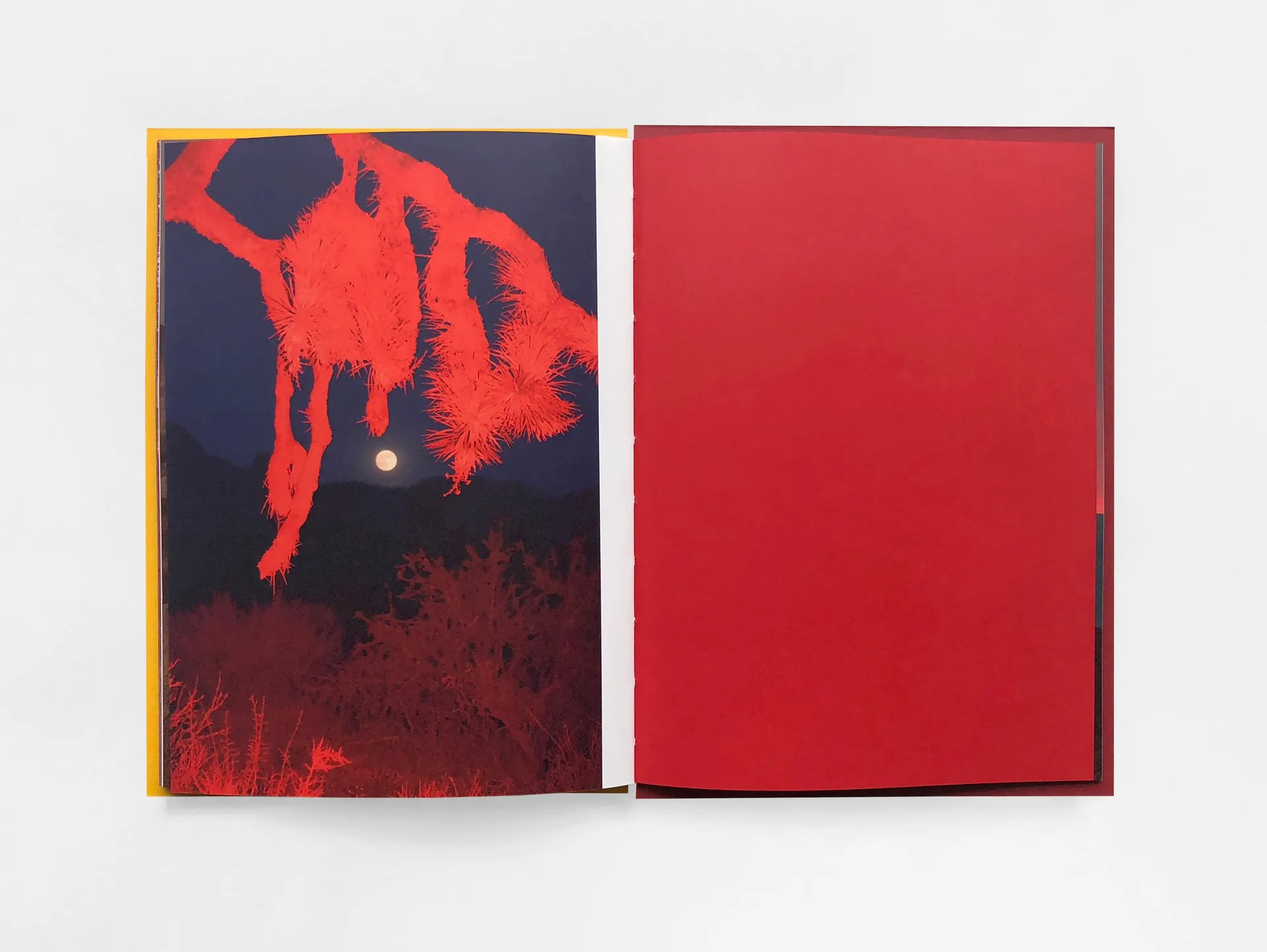 Red Orange image 8