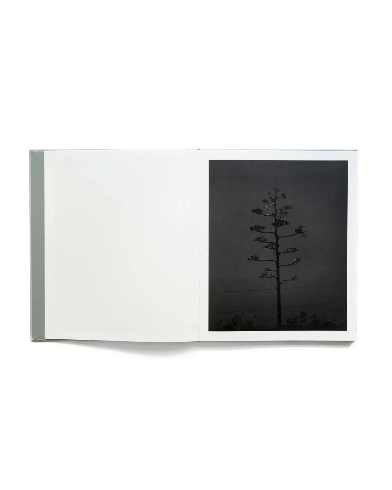 ORACLE image 3