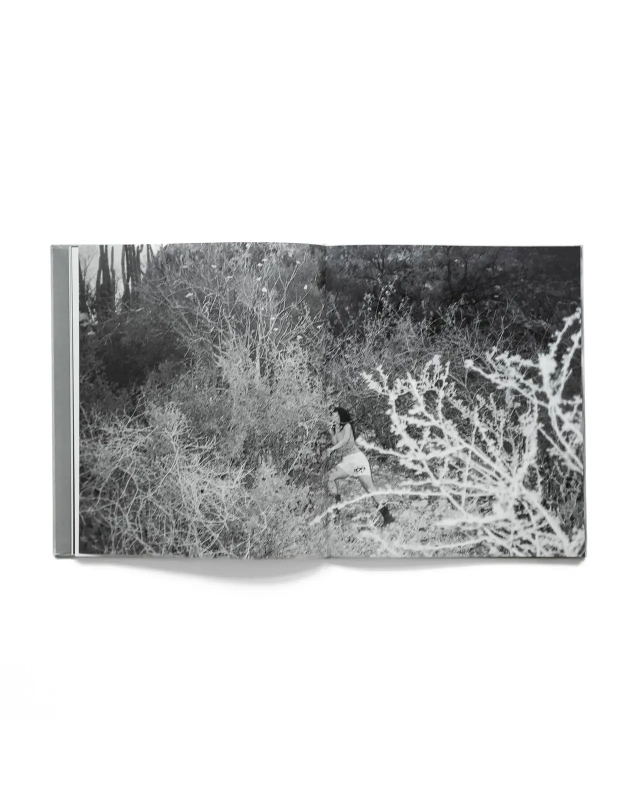 ORACLE image 8