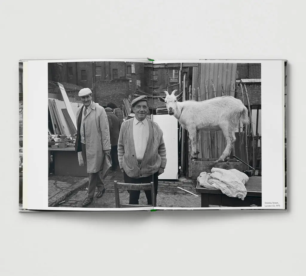 Market Day image 10