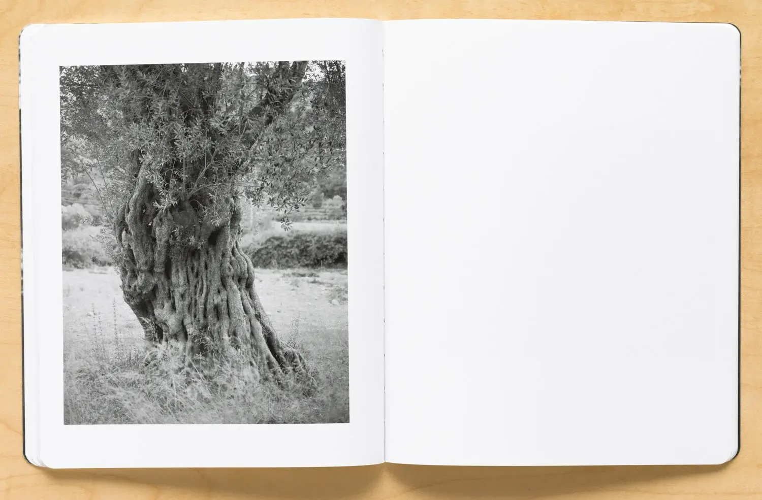 Journey image 11