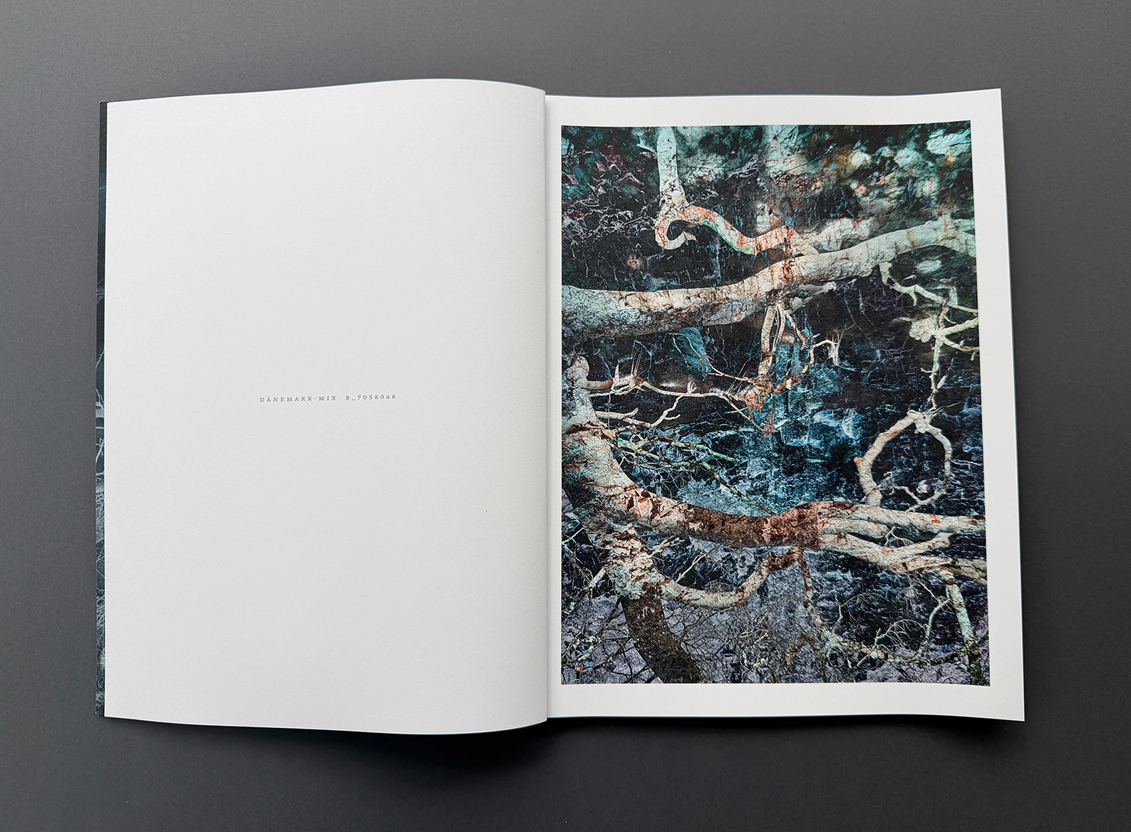 MIXED – double landscapes and others image 2