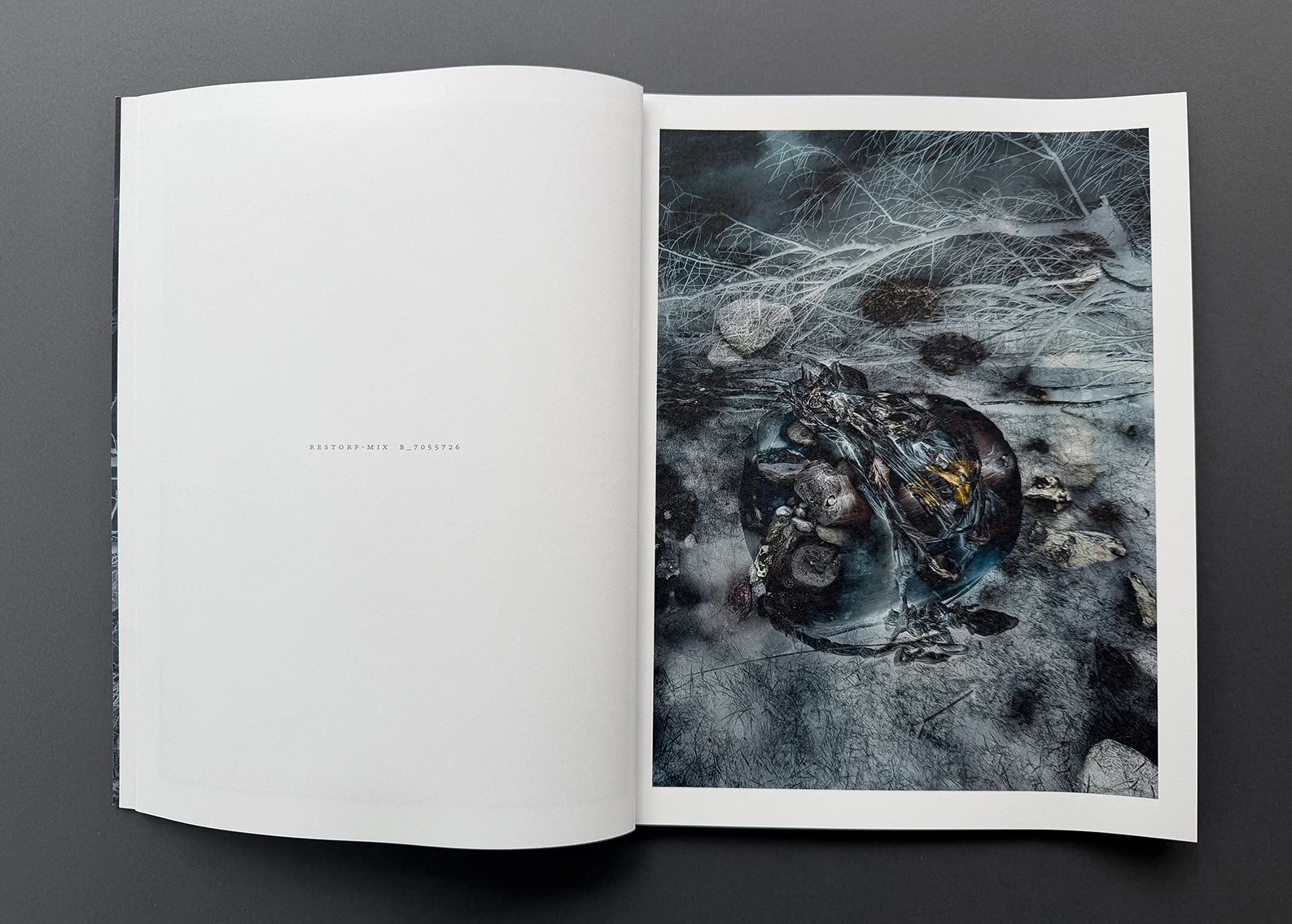 MIXED – double landscapes and others image 3