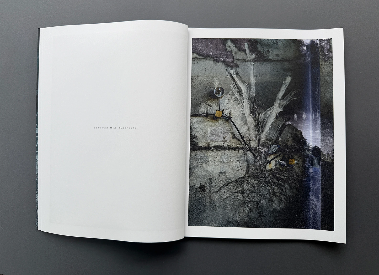MIXED – double landscapes and others image 4