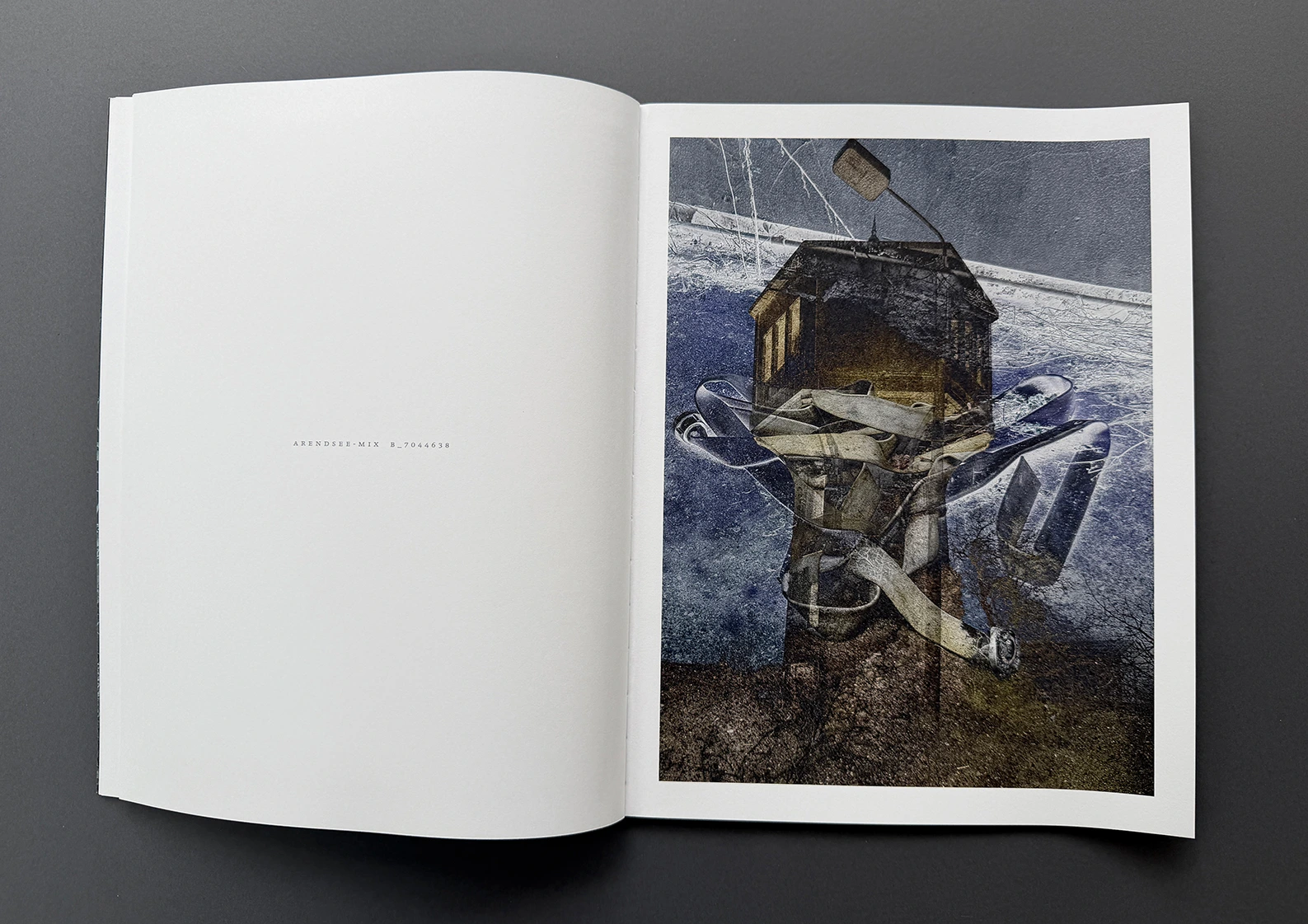MIXED – double landscapes and others image 5