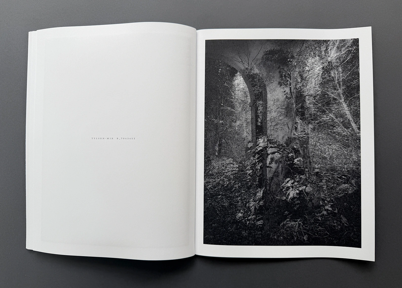 MIXED – double landscapes and others image 7