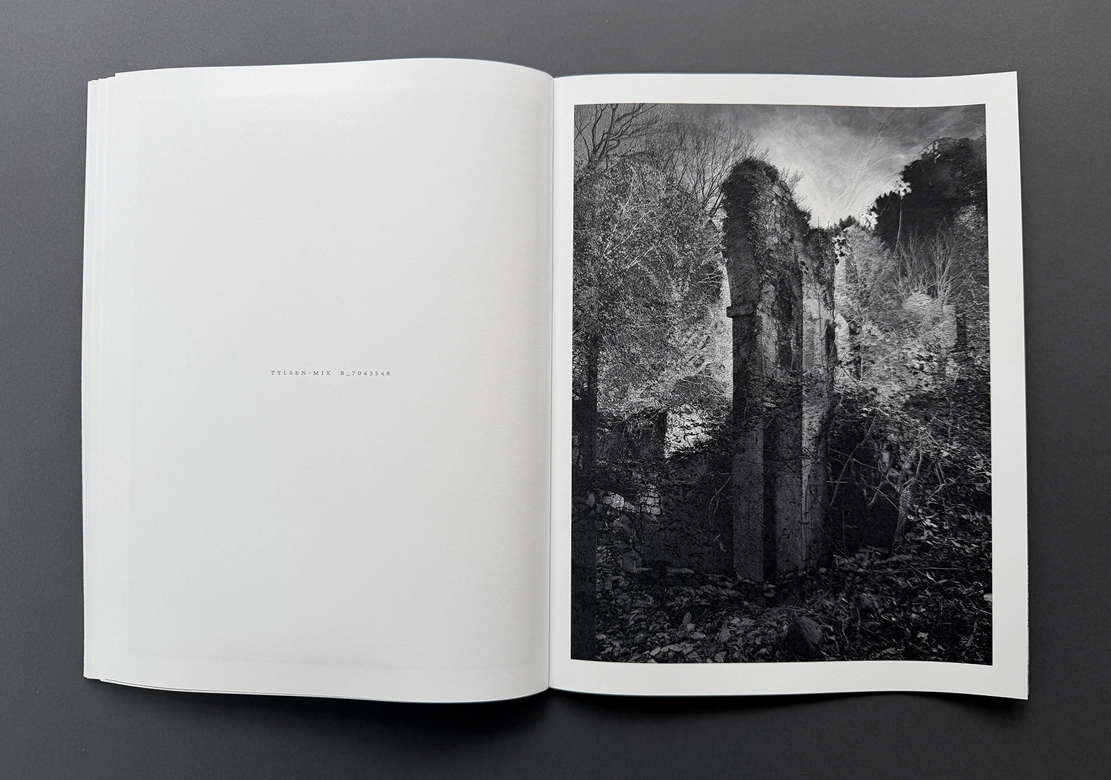 MIXED – double landscapes and others image 8