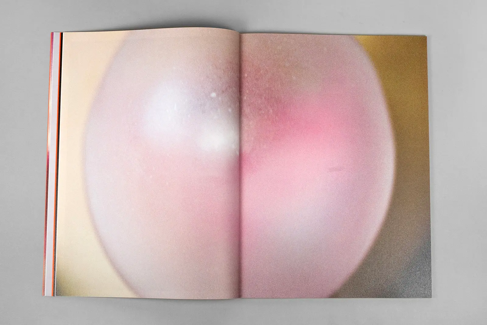Love Shit image 6