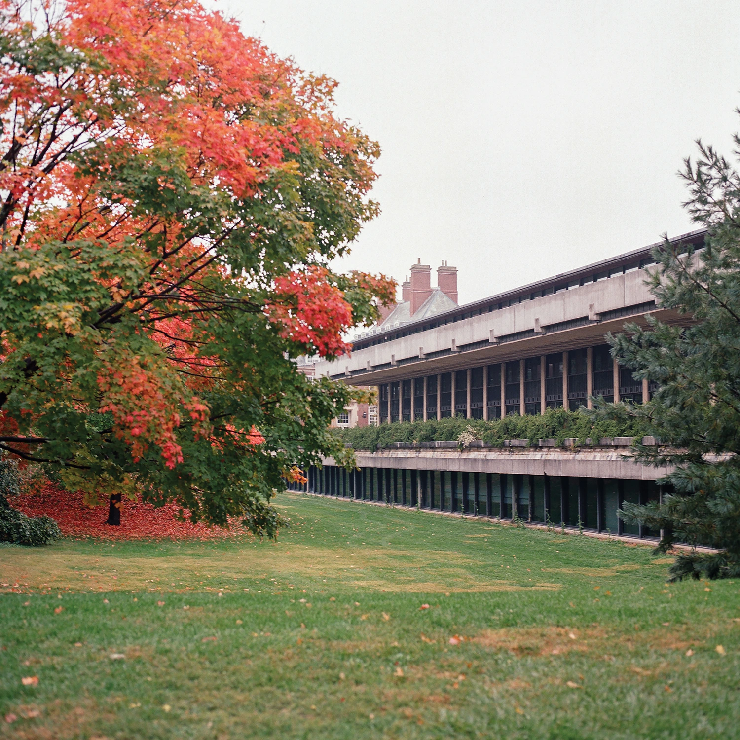 Mid-Continent Modern image 4