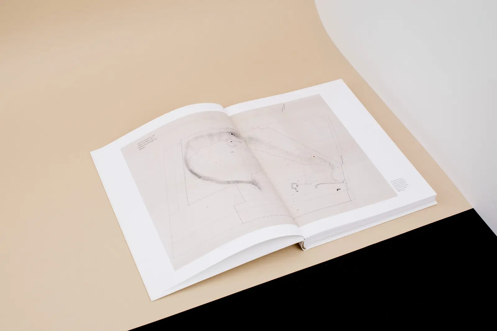 Art in Continual Movement image 3