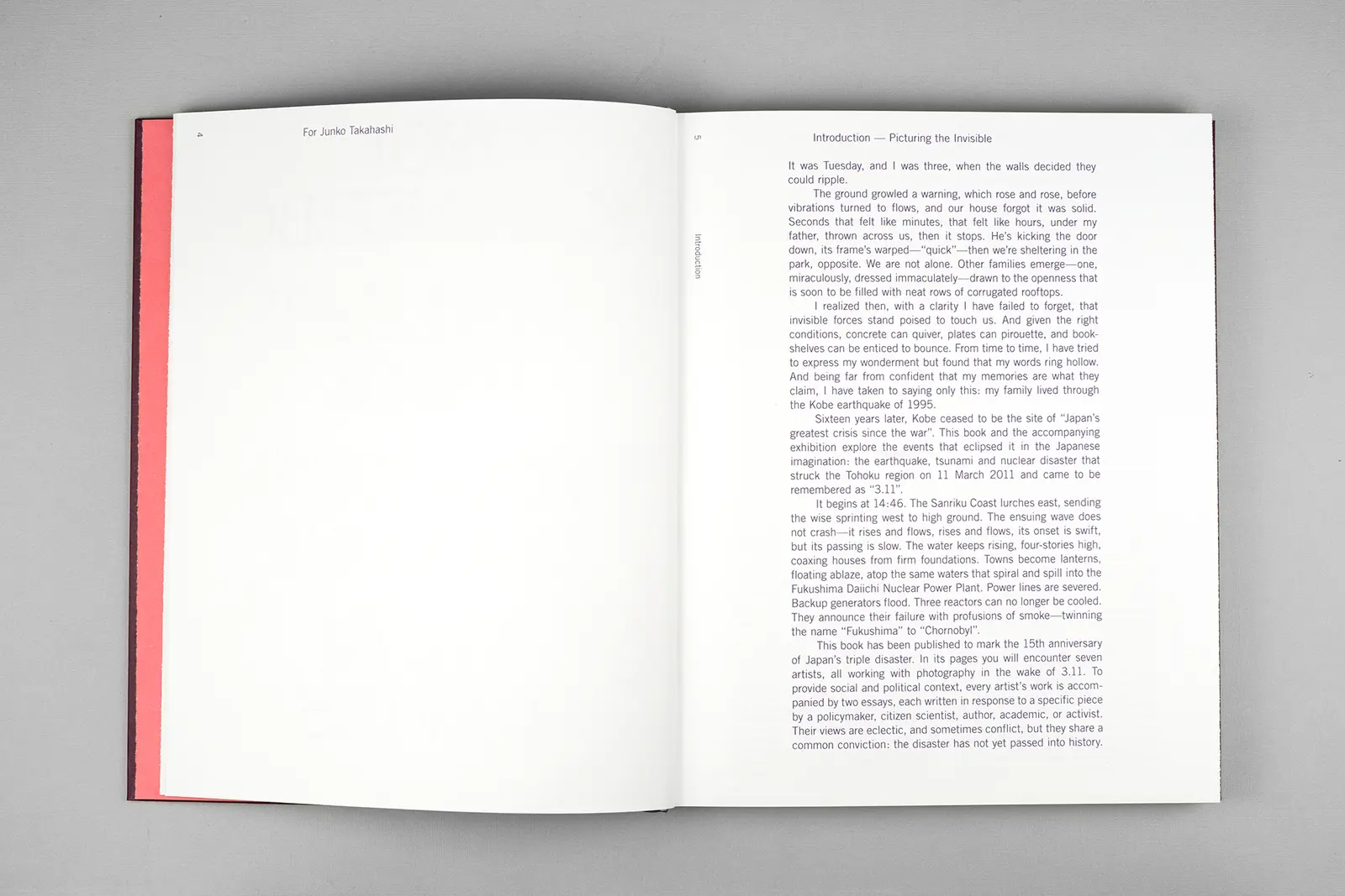 Picturing the Invisible image 3