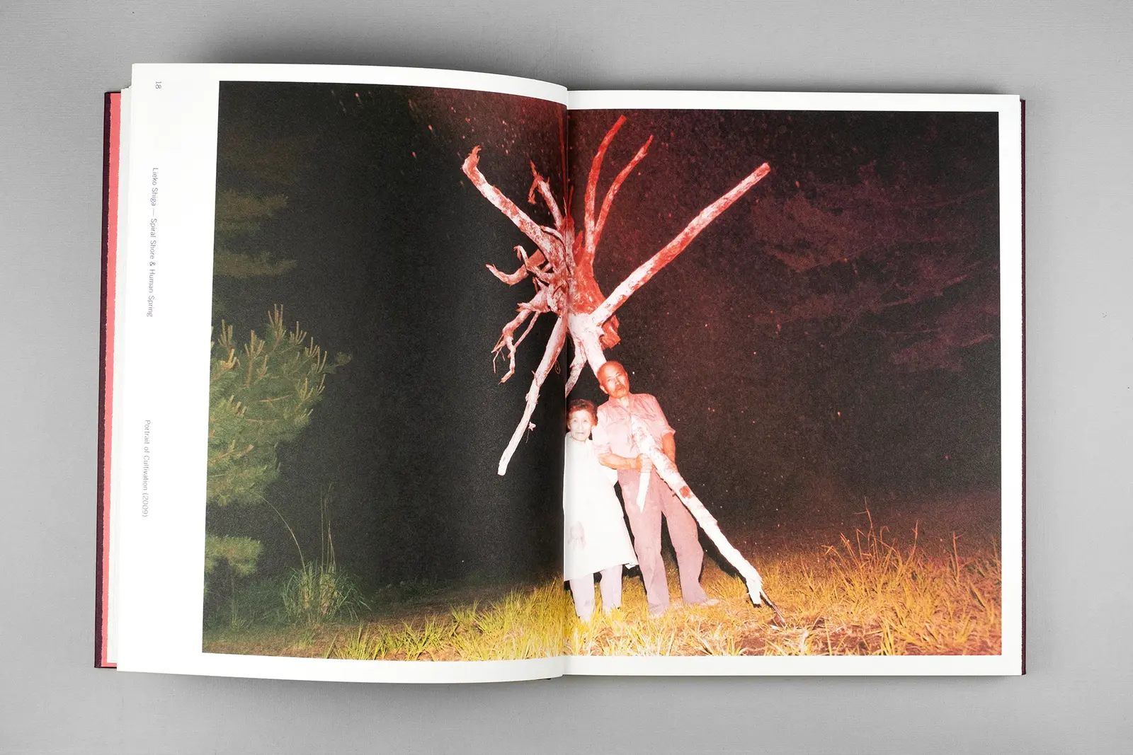 Picturing the Invisible image 6