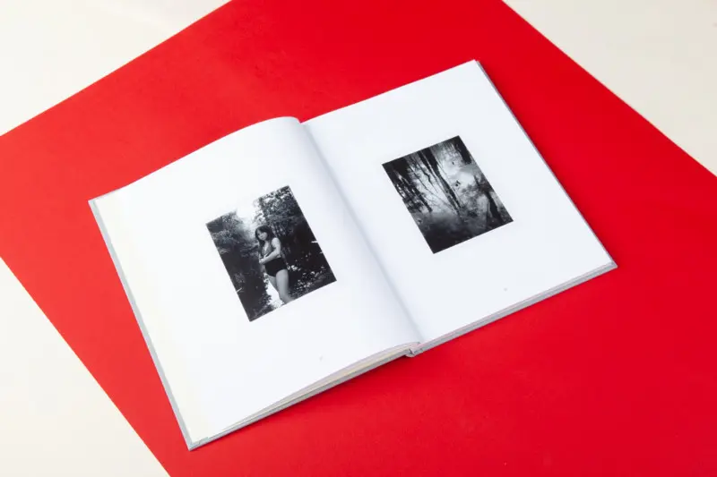 The Arc image 3