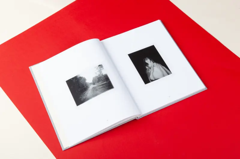 The Arc image 4