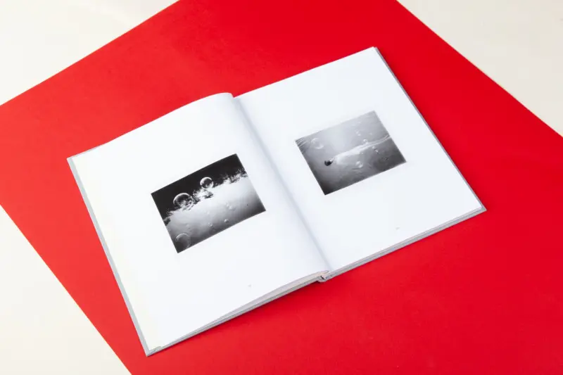 The Arc image 5