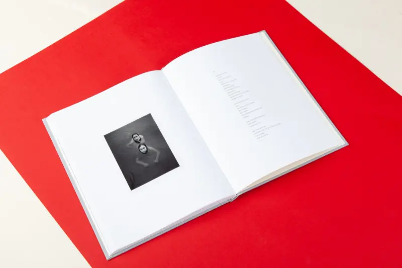 The Arc image 8