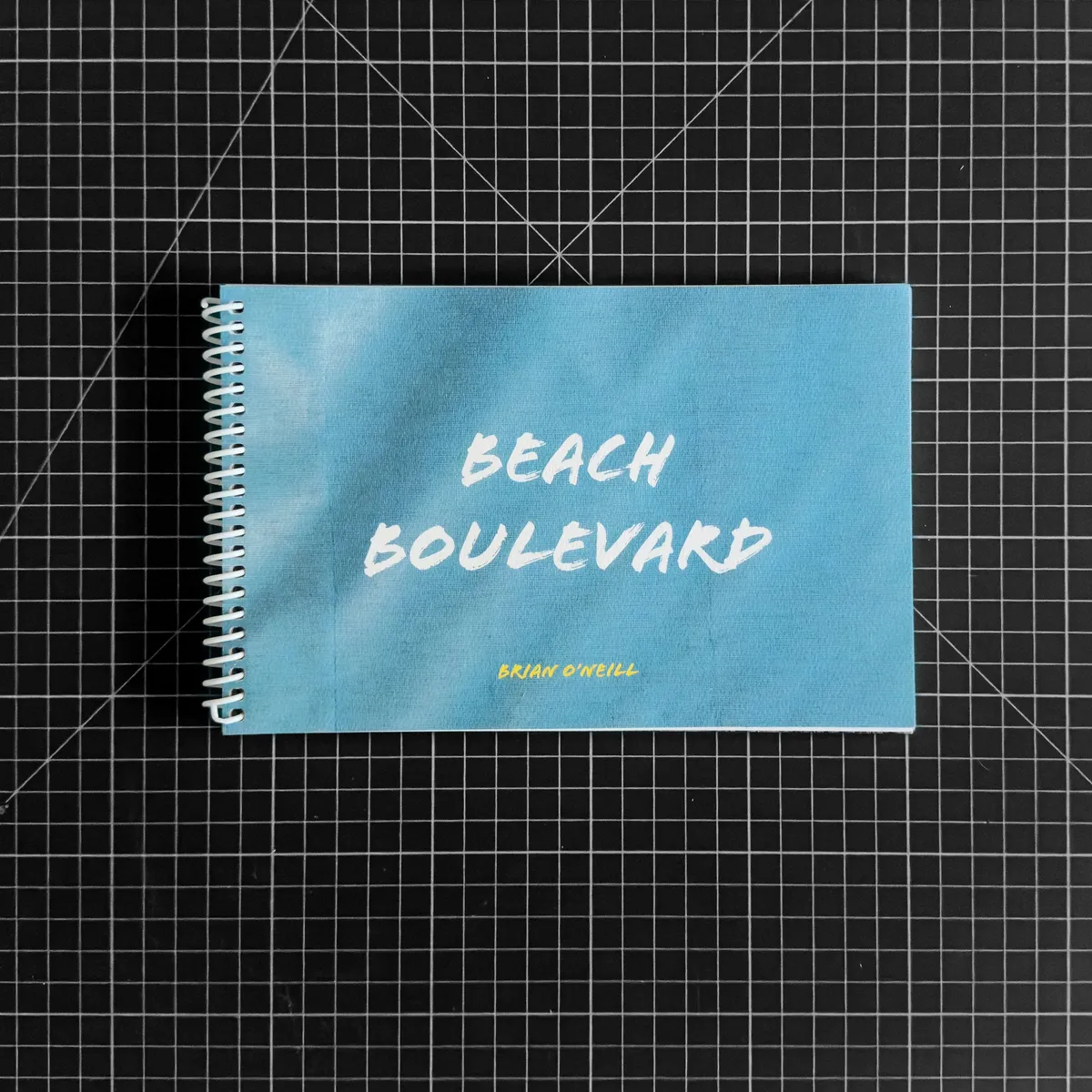 Beach Boulevard (eBook) image 1