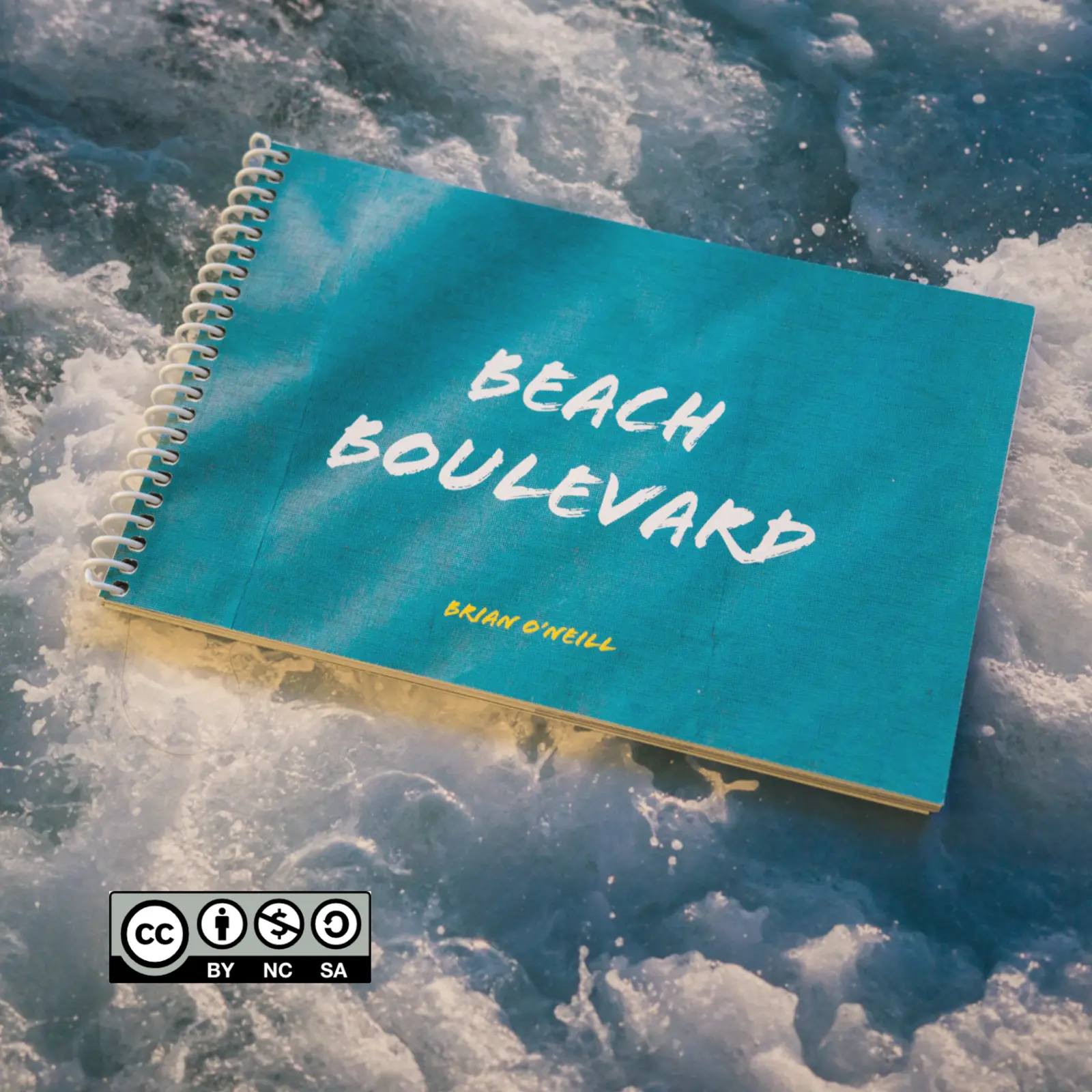 Beach Boulevard (eBook) image 2