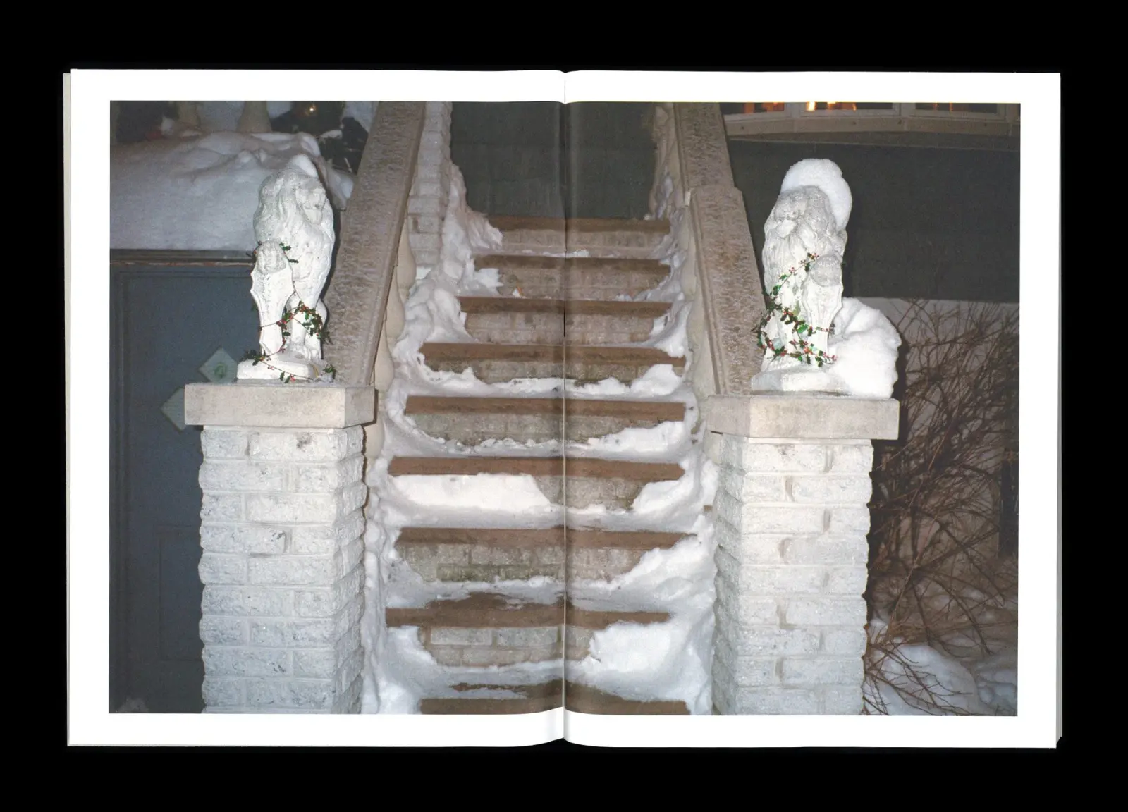 Winter image 2