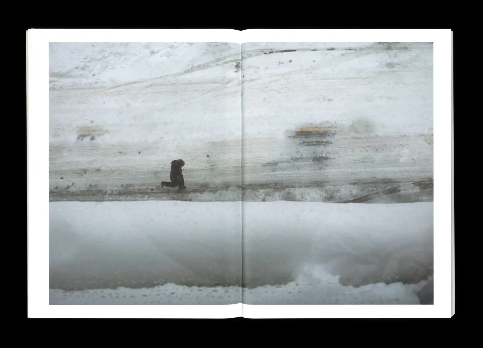 Winter image 5