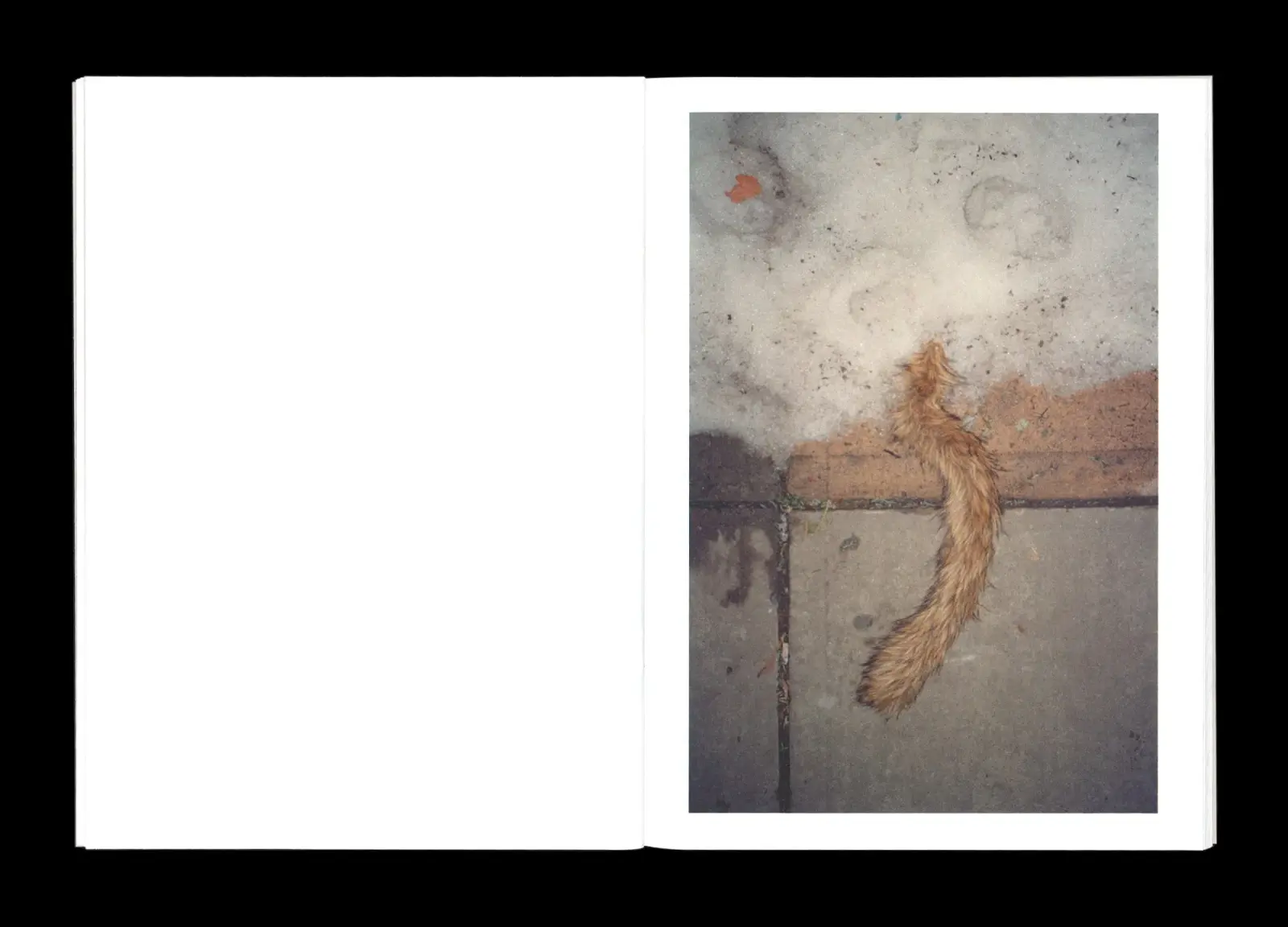 Winter image 9