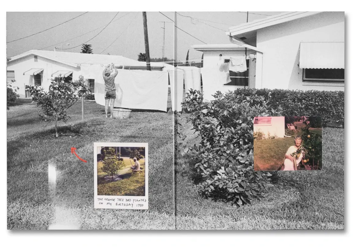 Coming and Going image 4