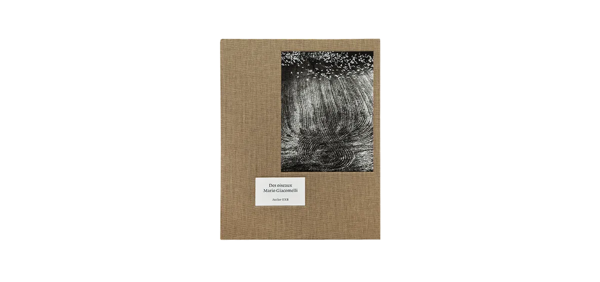 Des oiseaux - Mario Giacomelli