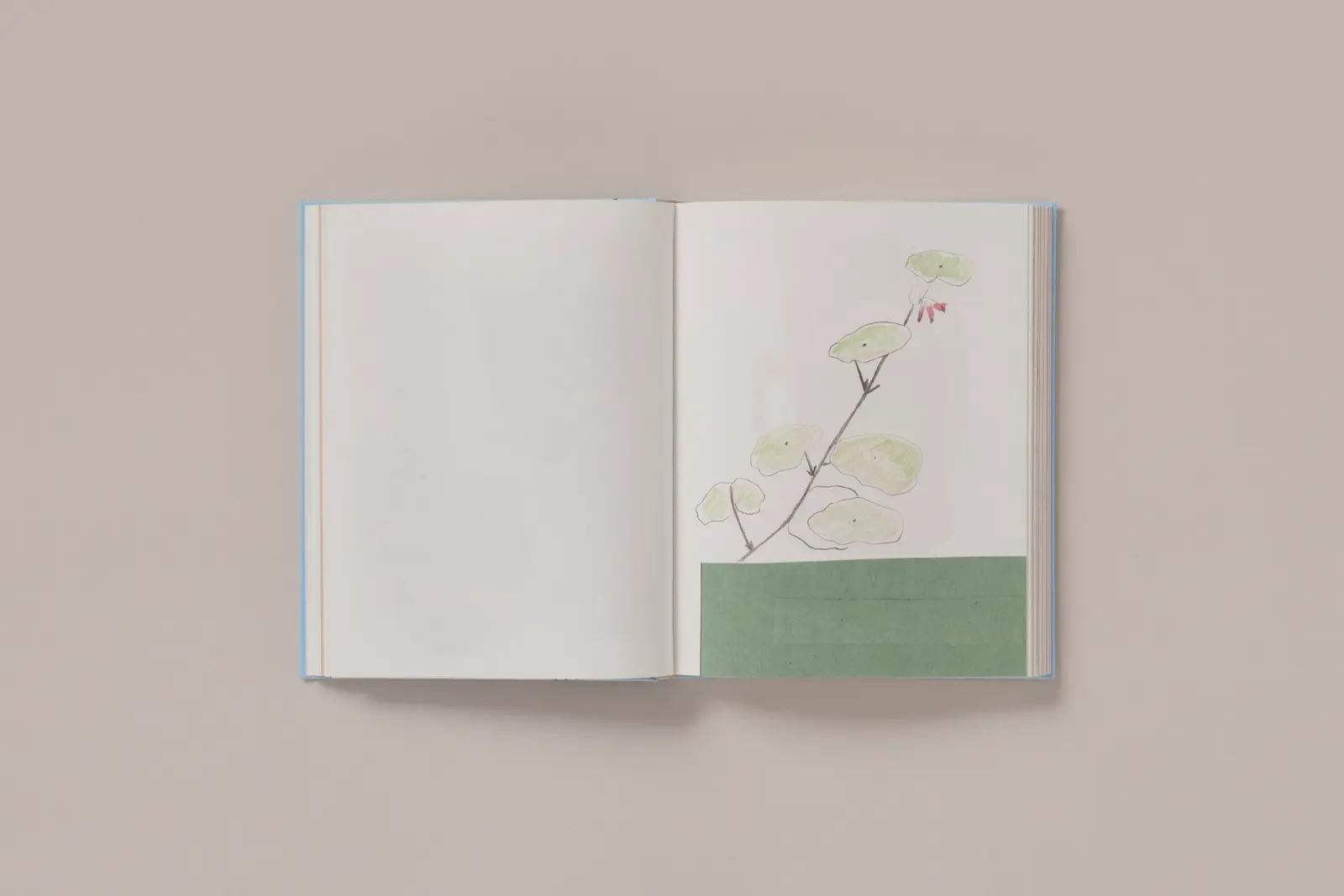Carnets image 3