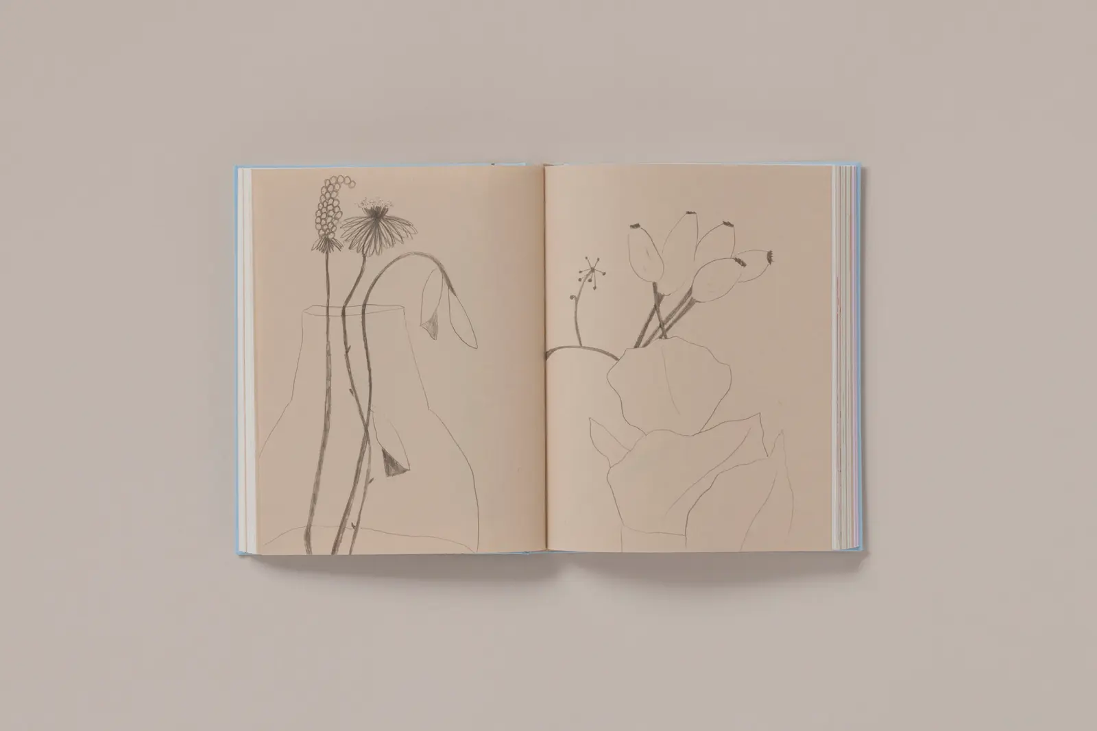 Carnets image 6