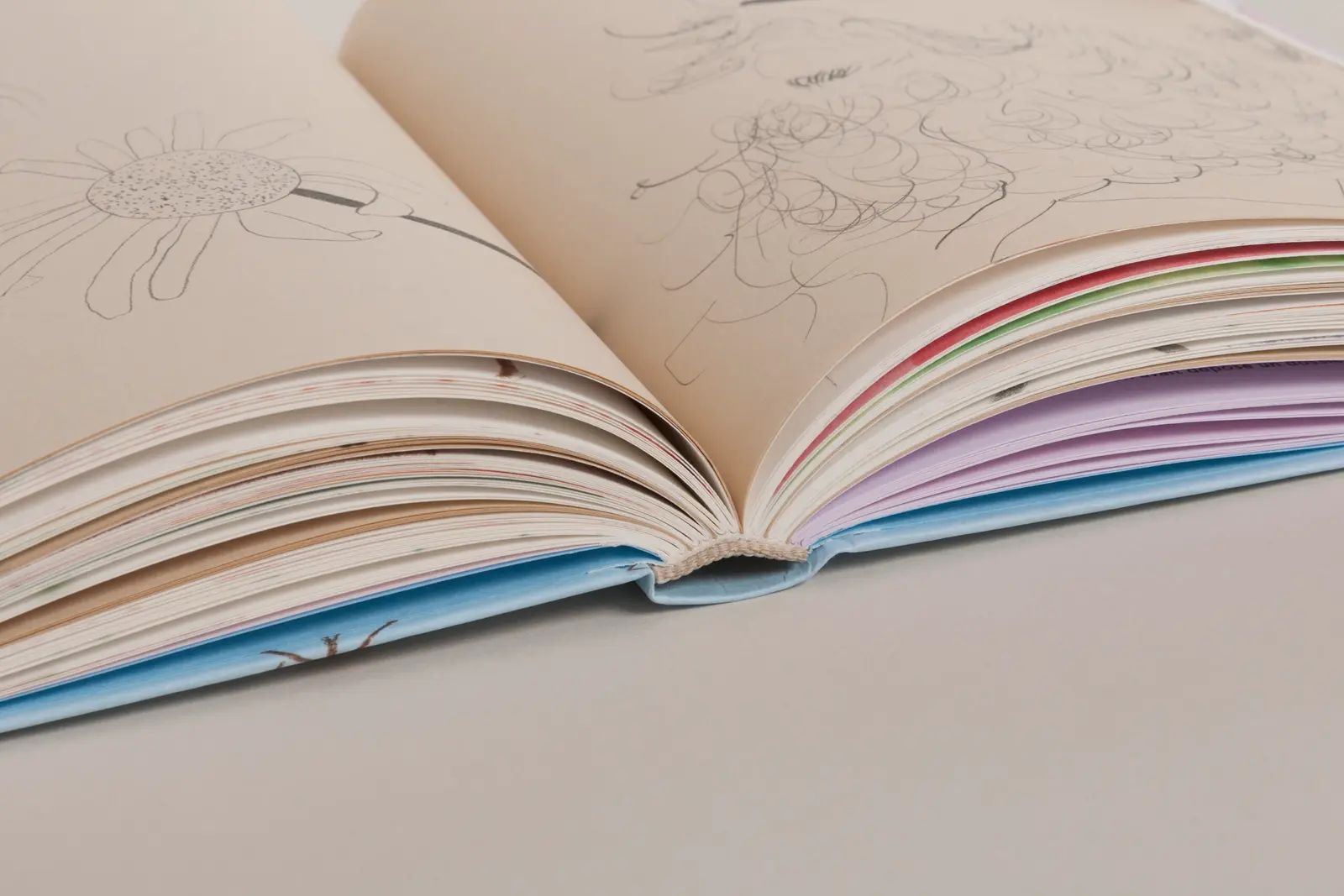 Carnets image 7