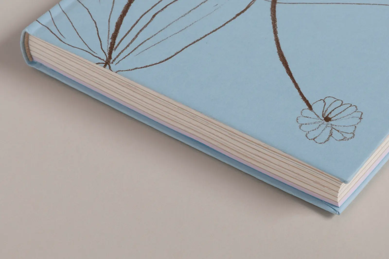 Carnets image 10