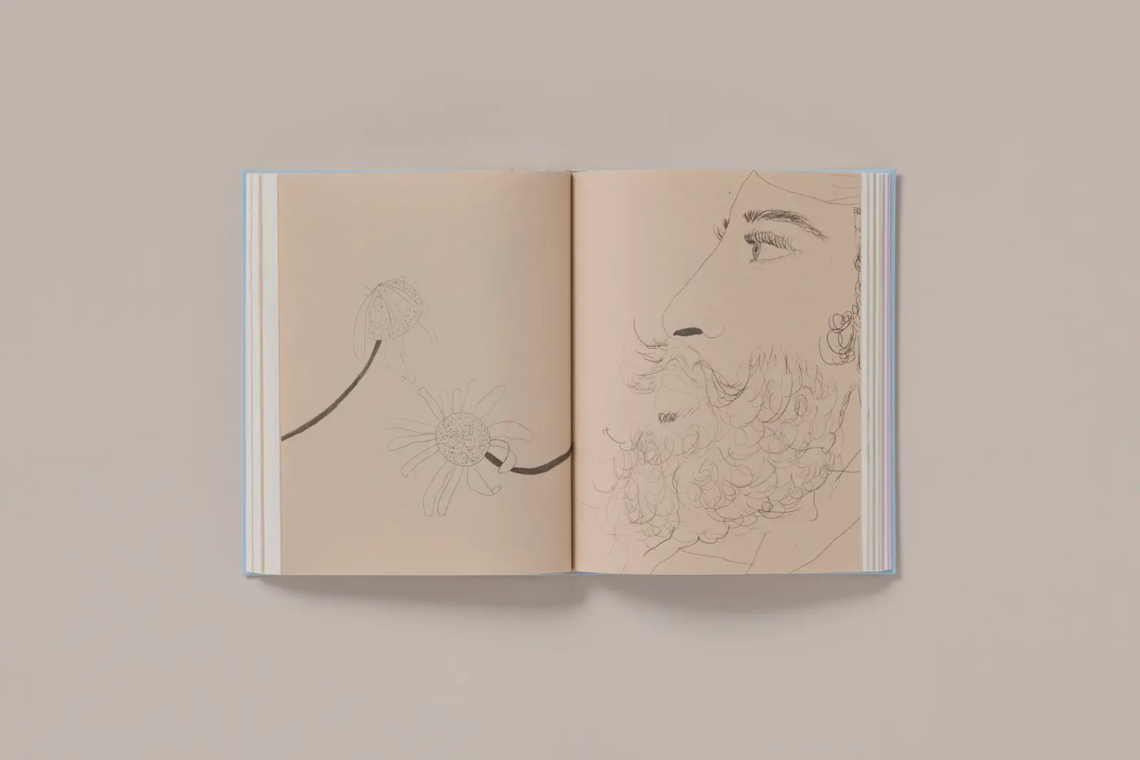 Carnets image 11