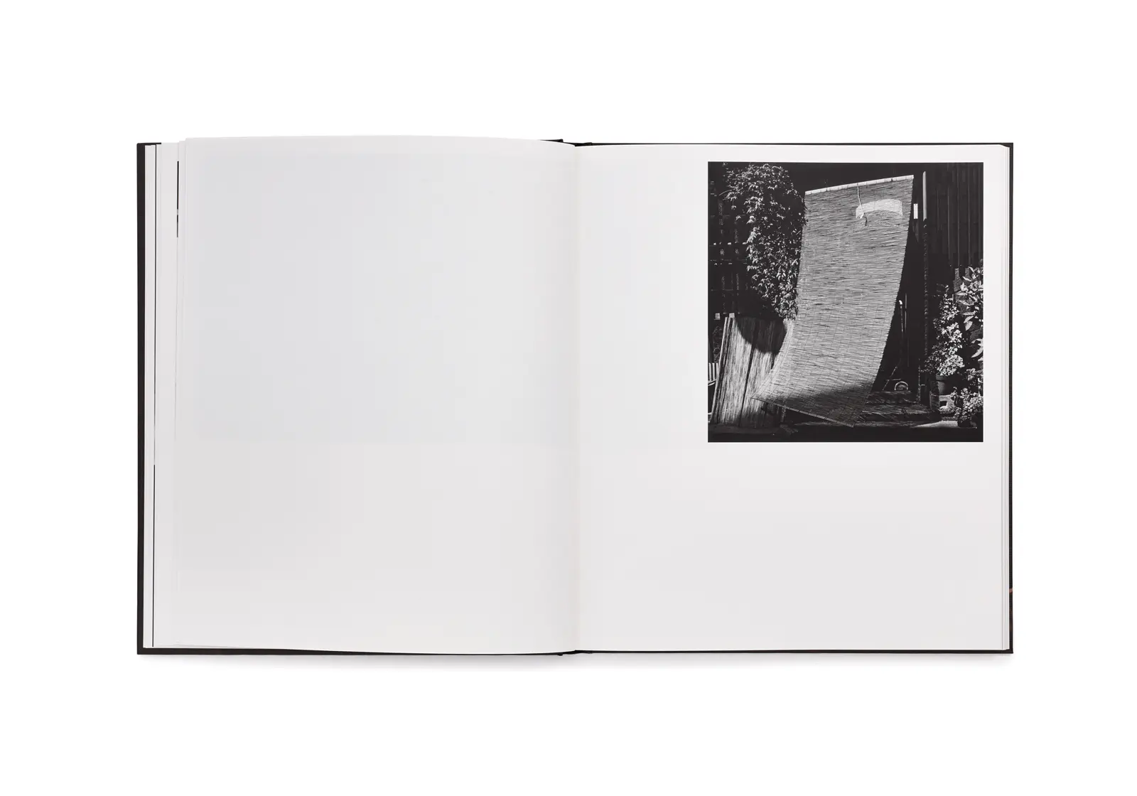 78 image 10