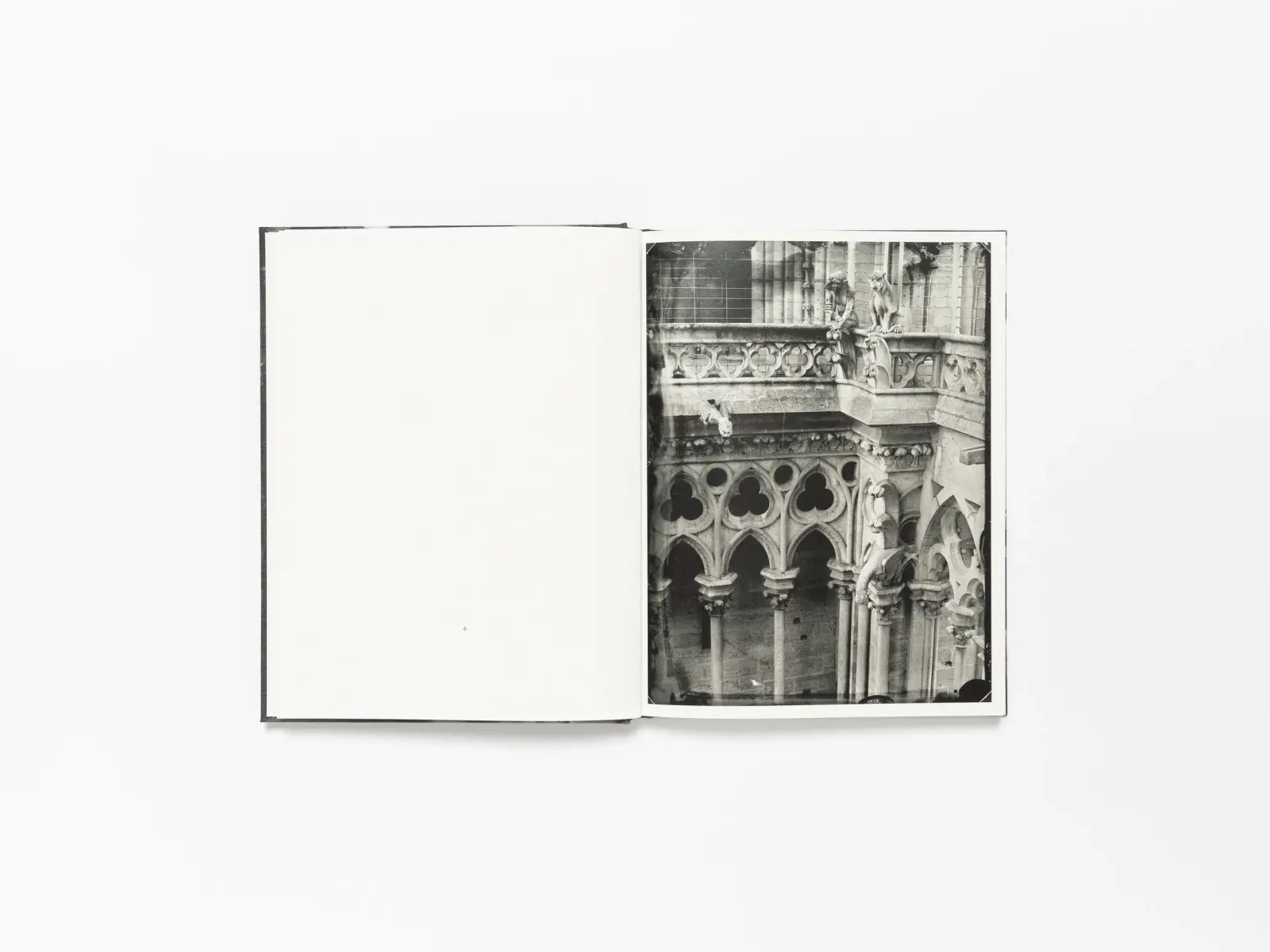 36 Views of Notre Dame image 6