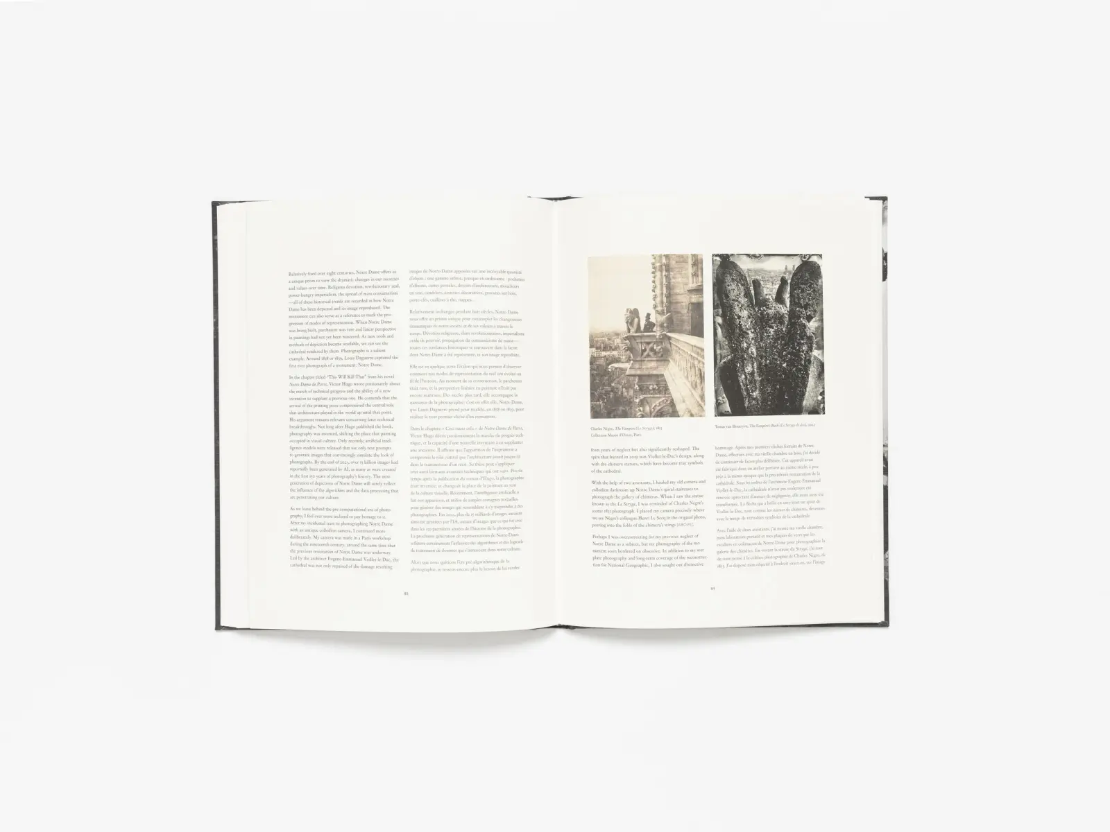36 Views of Notre Dame image 9