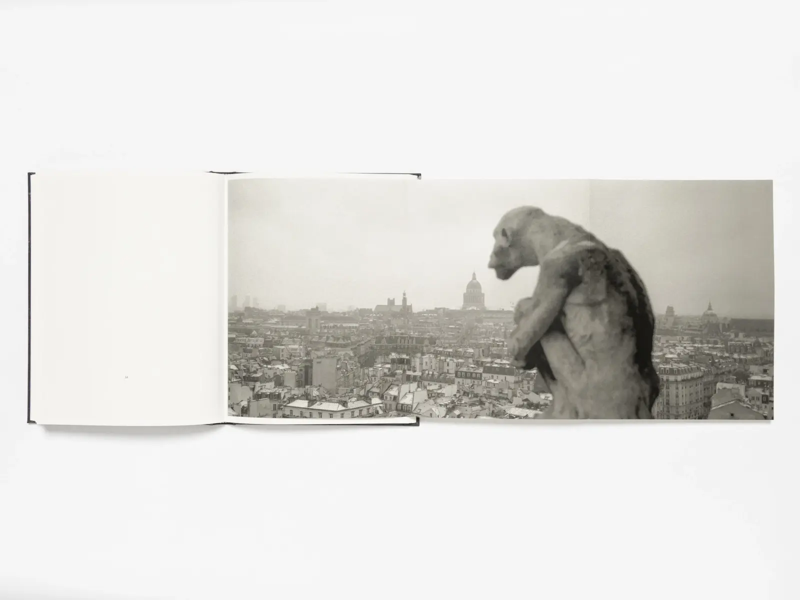 36 Views of Notre Dame image 10