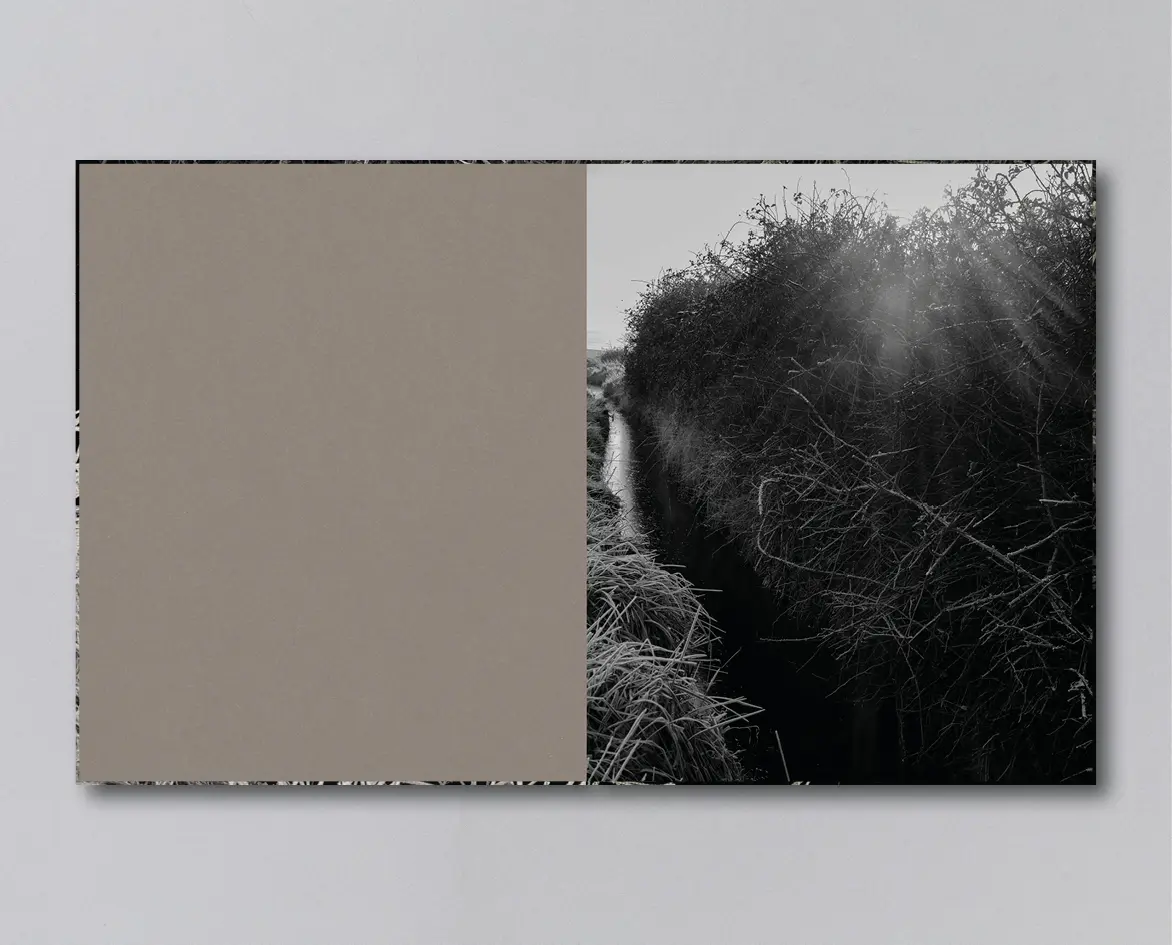 Reverie image 3