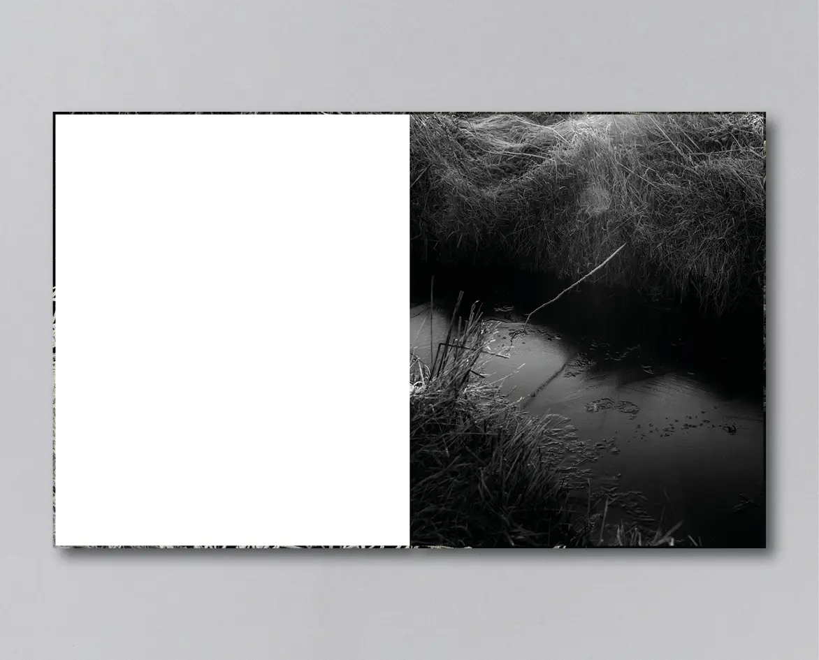 Reverie image 4