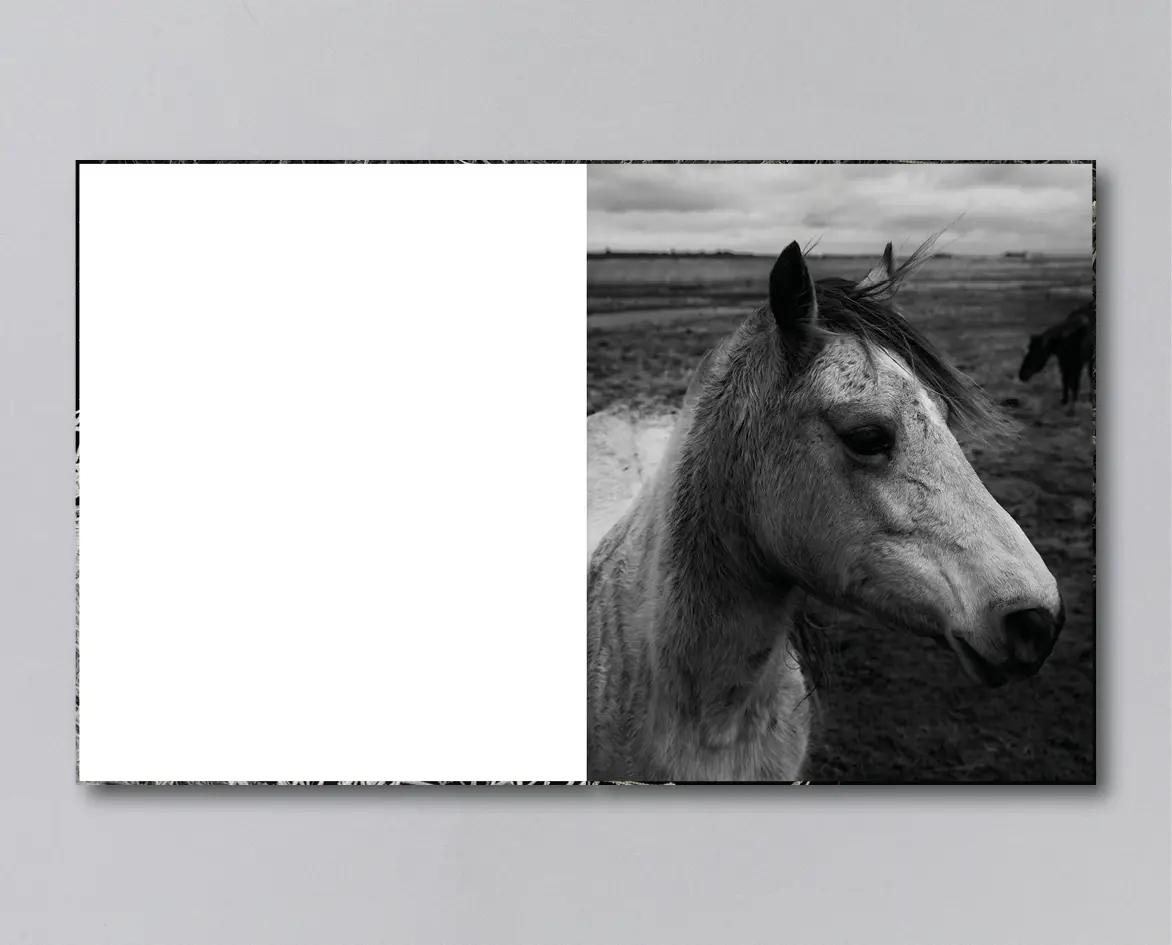 Reverie image 5